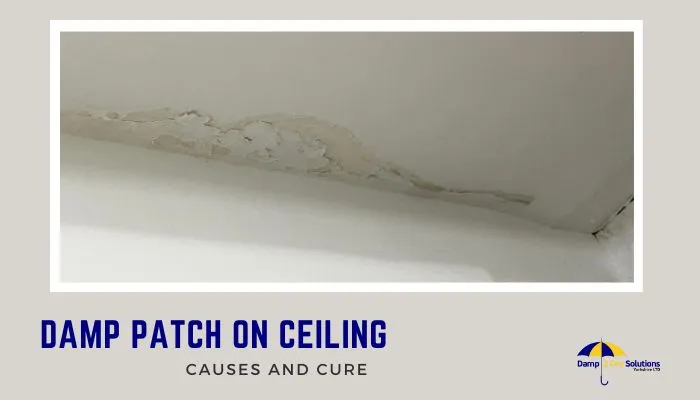 Brown Stain on Ceiling: Leak or Damp? Urgent Action Guide